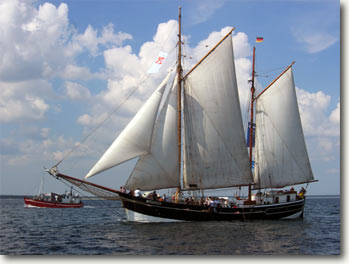 Amazone Hansesail